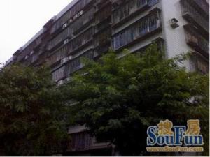铁六小区3室1厅南