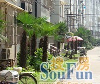 美丽家园小区电梯 南北两房,采光良好