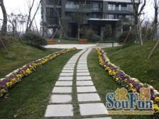 华侨城纯水岸一期高层 3室1厅 东南 西南