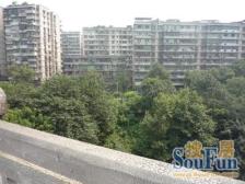 老城区 文星湾新房子三房38万