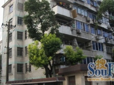 月浦九村1室南朝向75.00万元/套出售