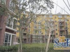 缙云山下 金鼎龙泉 精装大三房 小区环境好 拎包入住