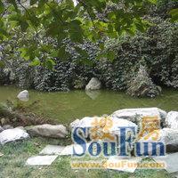 竹韵菁华实景图