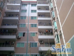 乐宜居3室1厅南