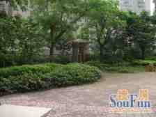 和平山的楼梯房出售简单装修楼层好采光好业主诚心卖