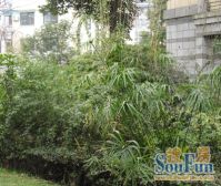 都市美丽风景3室1厅东南南