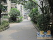 双林北横路129号院实景图