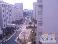 周浦·新育公寓·5室·3厅