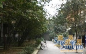 人民南路四段51号3室2厅南