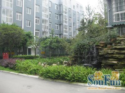 兰桂香林实景图