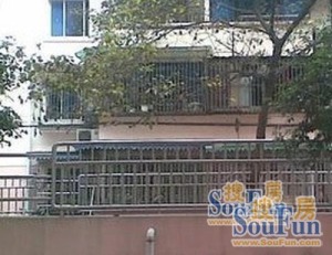 人民南路四段51号3室1厅南北