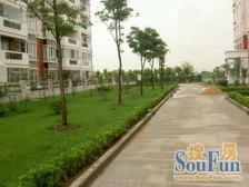 带大院子,居家性强,位置安静舒服,前后无遮挡