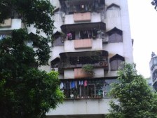 桂城百合村 2室1厅 南