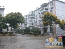 桃浦南京路 位置好 南北通透 低楼层 交通便利 诚意出售