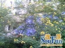 带屋顶花园,绿色食品成为你盘中餐,业主安心卖价好谈