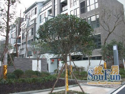 小区相关图