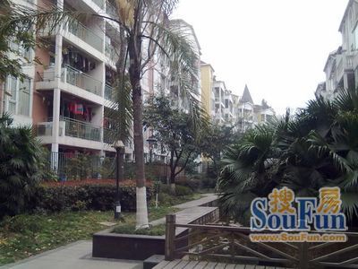 月都家园实景图