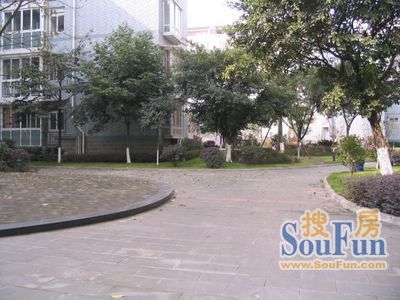天香苑实景图