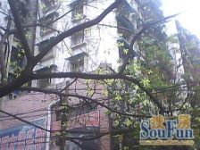 东路七小区 1室1厅 东