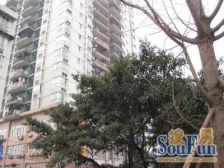 李家沱 南城花园一房