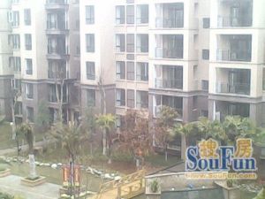 七里溪香 3室2厅 南 北