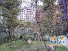 花样年花样城2室2厅南