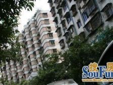 顶楼带屋顶花园,顶楼有铁塔的信号装置每年有固定收入