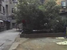 包家巷 视野好,诚心出售