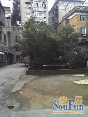  ���⡤�ٻ��޽ֵ����������� 1��1�� �� 