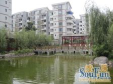 兴龙湖 永川荷塘月色二房35万