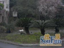 大竹林 银竹苑1区一房41万