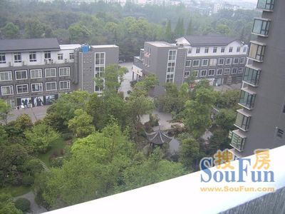 棠湖帝景实景图