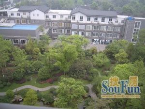 棠湖帝景 3室2厅 东南