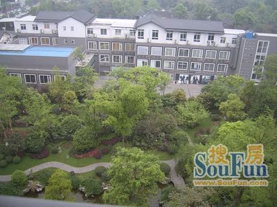 棠湖帝景实景图