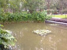 巴国城 金科500间一房