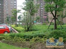 一梯一户,大平层,高区视野景观好,诚意出售!