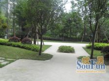 龙舟小区3号院 1室1厅 东南