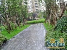 江北南桥寺 业主诚心出售 看房方便