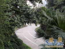 金科物业 住宅单配 低总价 诚心出售的 看房方便