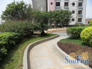 大三房精装修拎包入住看房方便