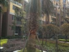 金鼎龙泉 布局合理 楼间距宽 采光十分充足 小区环境好