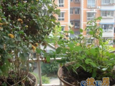 环线(天星桥站)电梯房,低楼层【户型方正】拎包入住