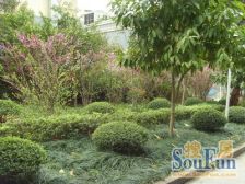 房子采光充足,视野开阔,看中庭安静