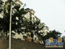 新石坑楼梯房一楼带装修采光好费用低