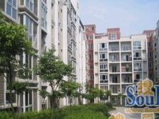 茶园新区 东升彼岸一房38.1万