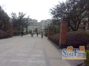 聚贤雅丽园2室1厅东南