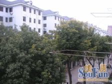 靠人民路 老年大学 采光好,满五一口价115万