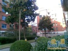 双地铁 钥匙房 随时看 楼层好 位置好