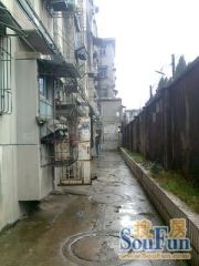 抚生路6号十二中宿舍南北通透,采光好装修好,环镜优美视野好,诚心出售