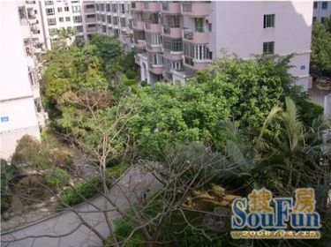 大金门花园厦门市海沧区沧翔路53号808室房产